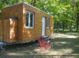 Tiny House et rivière
