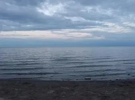 Кафе Кочевник