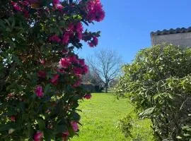 Gite du cerisier