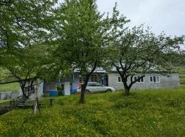 Iamze's Guest House