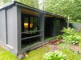 Scandinavia bungalow, Hotel in Kamennaya Gora