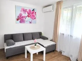 Apartmani Vlasina Sokobanja