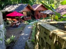 Gecko Lodge