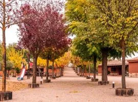Bodega Andrés Iniesta con visita y cata