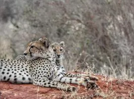 Tausa Tsavo Eco Lodge