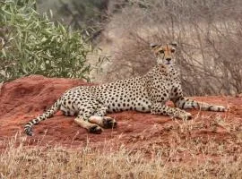 Tausa Tsavo Eco Lodge