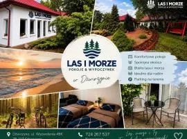 Las i Morze - Dźwirzyno
