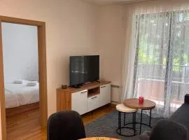 Apartman Atina Zlatibor
