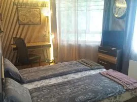 Apartament Bogoslovovi