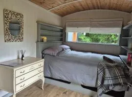 Sheperd's Hut Sleeps 2 with Hot Tub and Garden