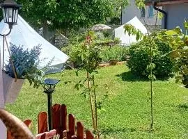 GLAMPING YURTA tents in greeny Rose resort