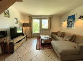 Charmant duplex au cœur de Chamonix avec wifi et animaux admis - FR-1-343-183