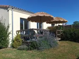 Gîte 3 étoiles jardin clos parking proche Saint Emilion