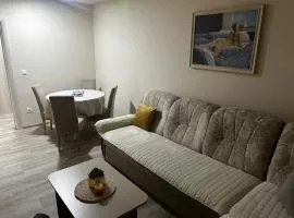 Apartment Vucetic