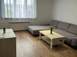 Mieszkanie w centrum miasta