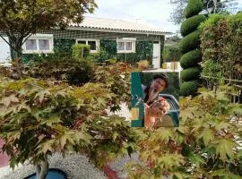 Proche St Emilion , une pause quelque part au jardin des érables et des niwakis
