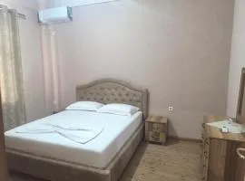 Delvina Comfort Apartment