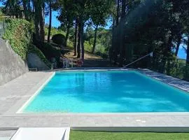 Le Mimose Garden