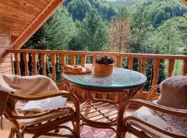 Cabana de la rau Satic