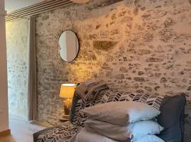 Studio de caractère en pierre