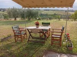 Sweet home