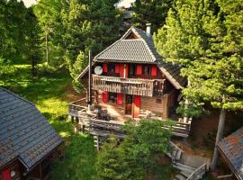 Hochgamshütte - Berghütte auf 1800m mit Sauna, Kamin & Bergpanorama!, Hotel in Falkertsee
