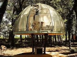 Under the Stars Domes