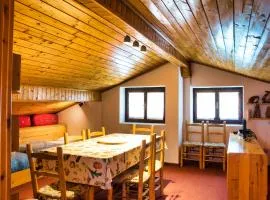 Pian delle Betulle Alpine Loft