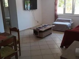 Amygdalos Room