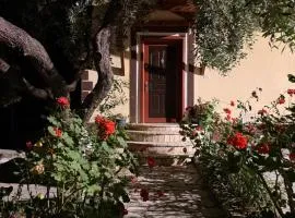 Borsh Grove Villa