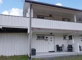 Awesome Apartment In Golsfjellet With Wifi