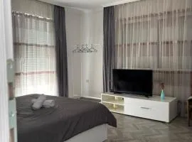 Flat in Trpejca