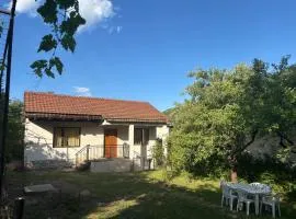 EmiliJana House
