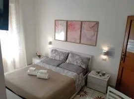 Le Camelie camera