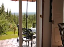 Cozy forest cabin with amazing mountain view