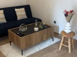 Large studio in Obernai
