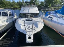 The boat Penny - unique nature experience