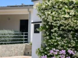 Dream's Rooms Salemi