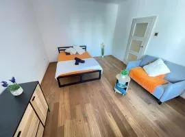 Budweis Comfort Apartment