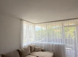 Apartment M