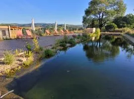 Domaine du COQ en PAT