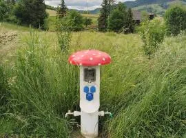 Căsuțele Molidului Campare pentru Rulote&Cort