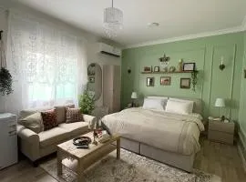 Mint Studio2