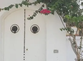 Residence Oasi Zenit