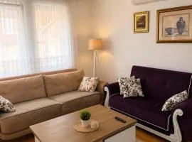 Modern house Peja