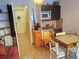 Magnifique studio au pied des montagnes