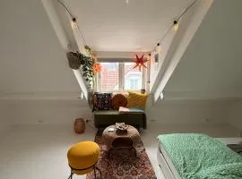 Asanzo Historic Attic-Traditional Norwegian Home & Warm Indian Hospitality