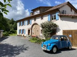 Bluets et Brimbelles