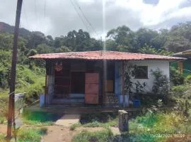 Tvkhomestay