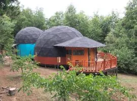 Chakana Newen Refugio